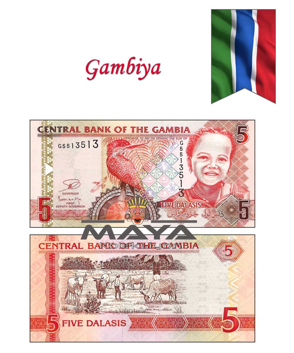 2013 Gambiya 5 Dalasis 