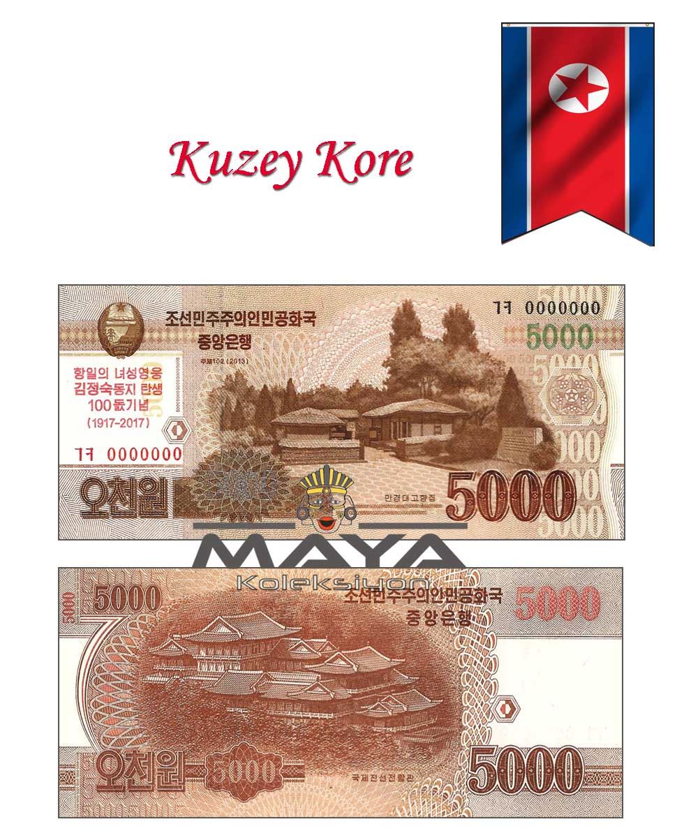 2013 Yılı Kuzey Kore 5000 Won