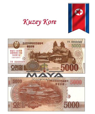 2013 Yılı Kuzey Kore 5000 Won